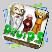 Druid's Battle of Magic игра Druid's Battle of Magic игра