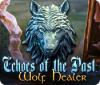 Echoes of the Past: Wolf Healer игра