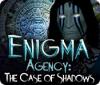 Enigma Agency: The Case of Shadows игра