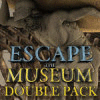 Escape the Museum Double Pack игра