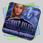 Ghost Files: The Face of Guilt Collector's Edition игра Ghost Files: The Face of Guilt Collector's Edition игра