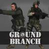 Ground Branch игра