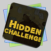 Hidden Challenge игра Hidden Challenge игра