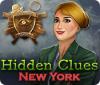 Hidden Clues: New York игра