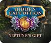 Hidden Expedition: Neptune's Gift игра