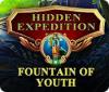 Hidden Expedition: The Fountain of Youth игра