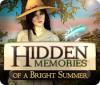 Hidden Memories of a Bright Summer игра