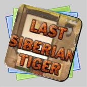 Last Siberian Tiger игра Last Siberian Tiger игра
