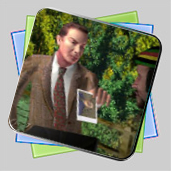 Law & Order: Double or Nothing игра Law & Order: Double or Nothing игра