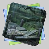 Mystery Case Files 2010 игра Mystery Case Files 2010 игра