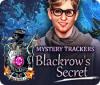 Mystery Trackers: Blackrow's Secret игра