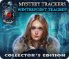 Mystery Trackers: Winterpoint Tragedy Collector's Edition игра