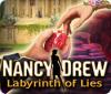 Nancy Drew: Labyrinth of Lies игра