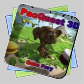 PacQuest 3D игра PacQuest 3D игра