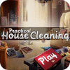 Practical House Cleaning игра