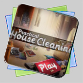 Practical House Cleaning игра Practical House Cleaning игра