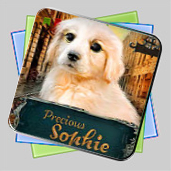 Precious Sophie игра Precious Sophie игра