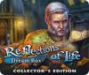 Reflections of Life: Dream Box Collector's Edition игра