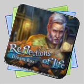 Reflections of Life: Dream Box Collector's Edition игра Reflections of Life: Dream Box Collector's Edition игра