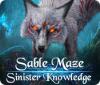Sable Maze: Sinister Knowledge игра