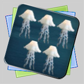Sea Bubbles игра Sea Bubbles игра