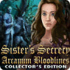 Sister's Secrecy: Arcanum Bloodlines Collector's Edition игра