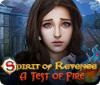 Spirit of Revenge: A Test of Fire игра