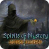 Spirits of Mystery: Amber Maiden Collector's Edition игра