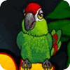 Thirsty Parrot игра