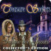 Treasure Seekers: Follow the Ghosts Collector's Edition игра