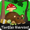 Turtles Harvest игра