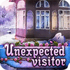 Unexpected Visitor игра