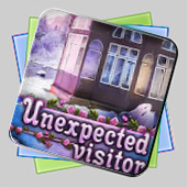 Unexpected Visitor игра Unexpected Visitor игра