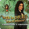 Web of Deceit: Black Widow Collector's Edition игра