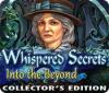 Whispered Secrets: Into the Beyond Collector's Edition игра