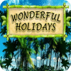 Wonderful Holidays игра