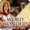 Word Wonders игра